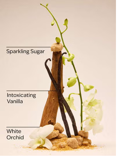 WARM VANILLA SUGAR