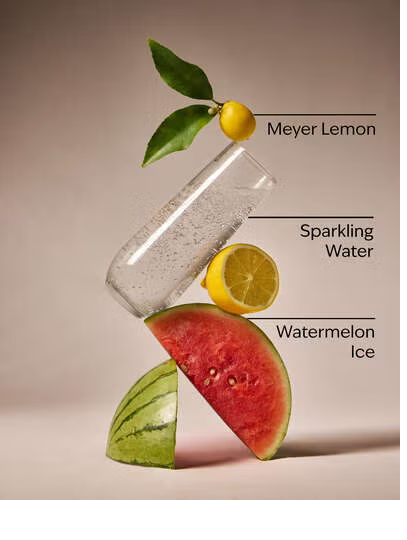 WATERMELON LEMONADE