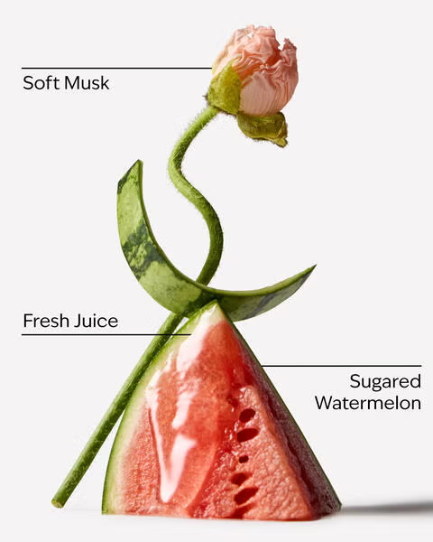WATERMELON WHIRL