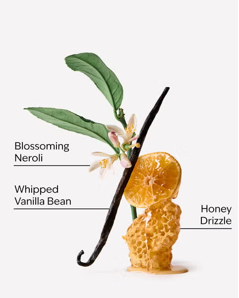 WHIPPED HONEY AND VANILLA