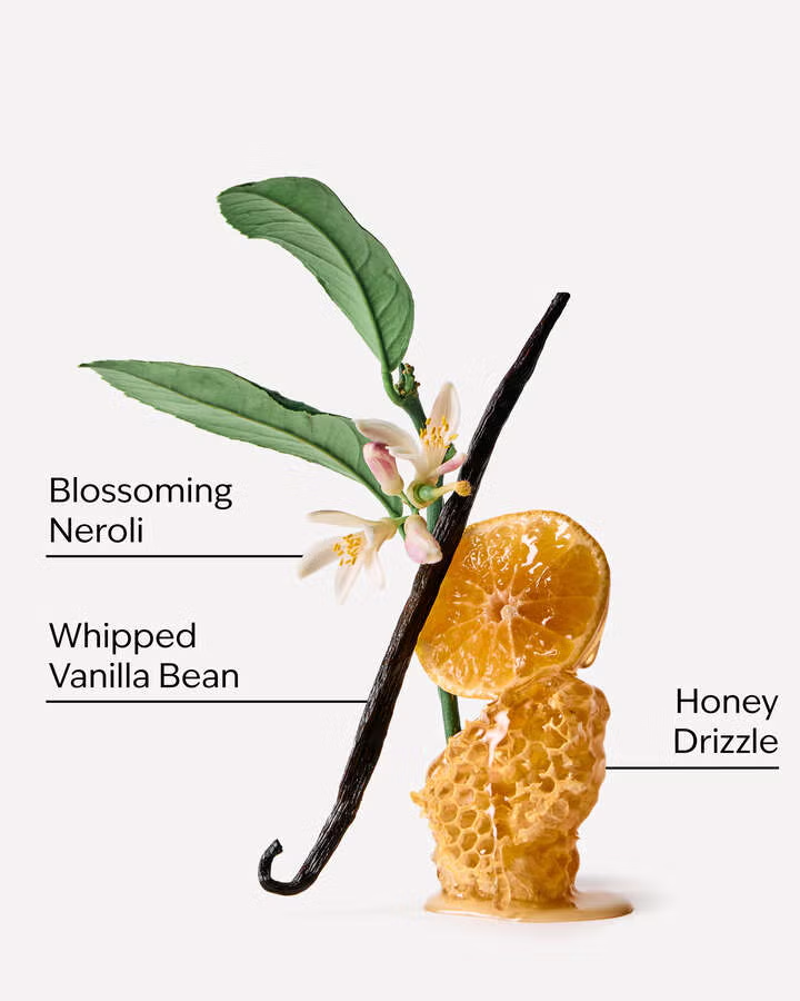 WHIPPED HONEY AND VANILLA