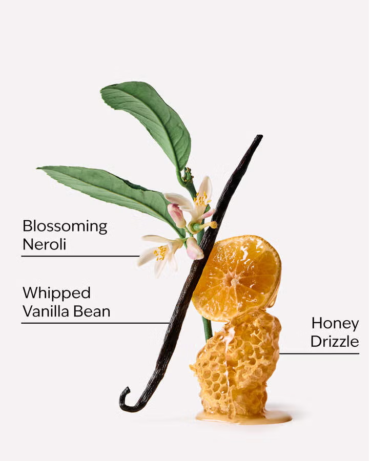 WHIPPED HONEY AND VANILLA