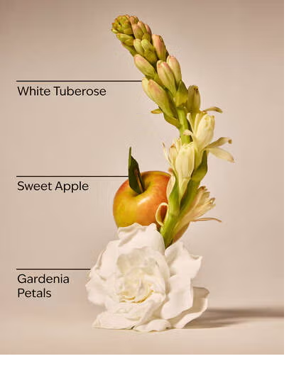 WHITE GARDENIA