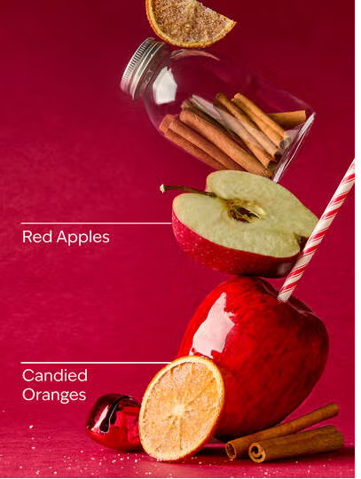 WINTER CANDY APPLE